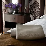 Borowina Hotel