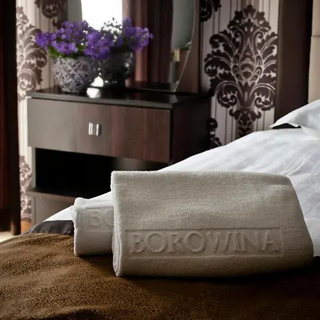 Borowina Szálloda