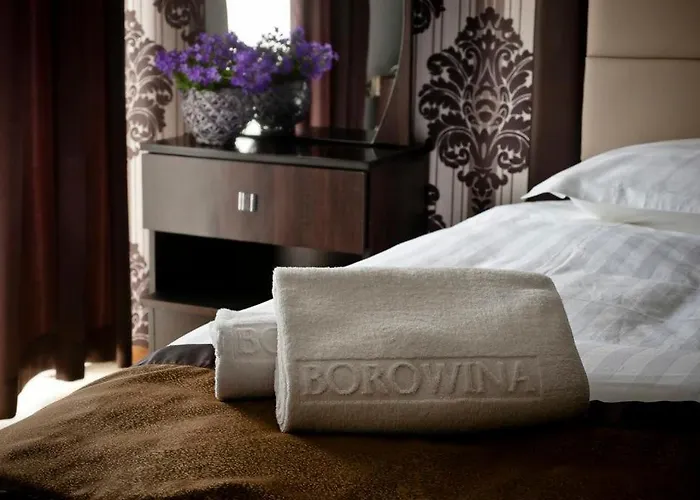 Borowina Hotel