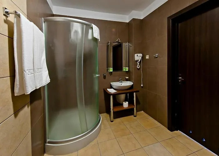 Hotel Borowina 3*